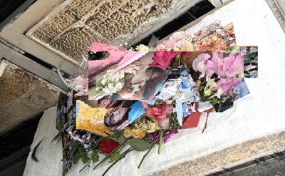 「埼玉県さいたま市で思い出の写真とお花に囲まれたパピヨンちゃんを穏やかにお見送りいたしました」写真