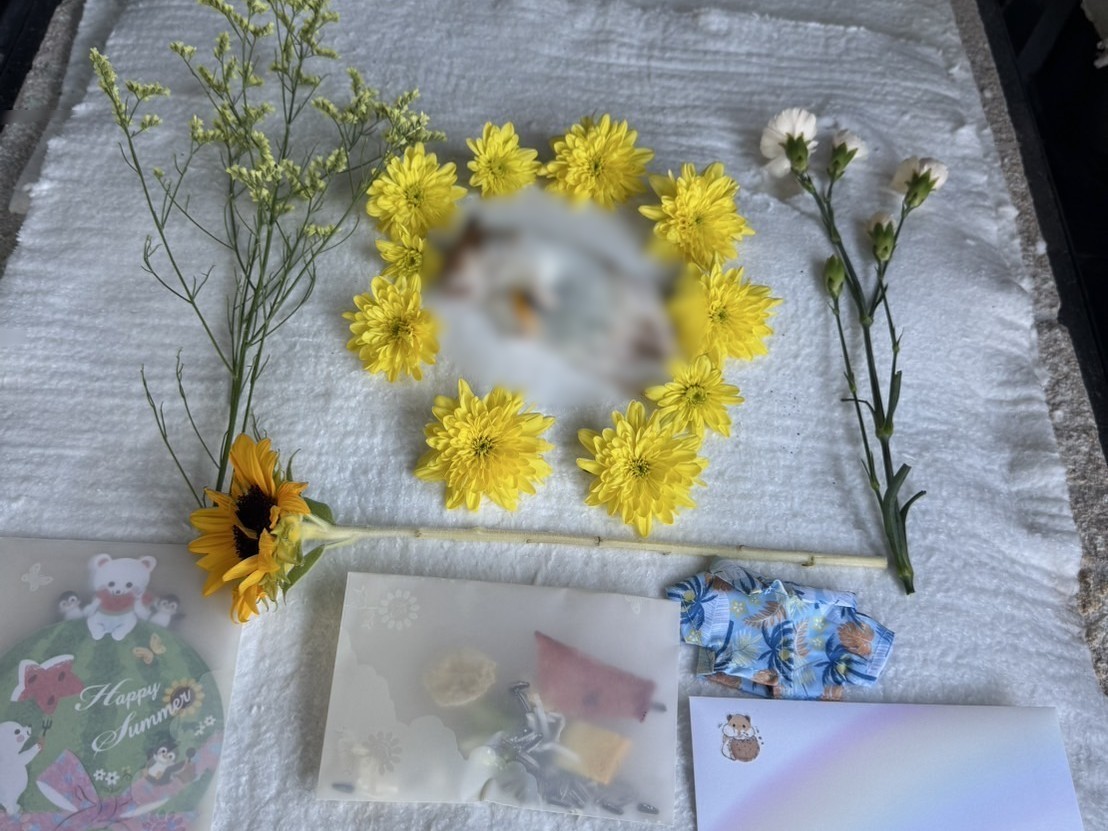 狭山市でご家族様の思いに寄り添いながらハムスターちゃんの旅立ちをお手伝いしました